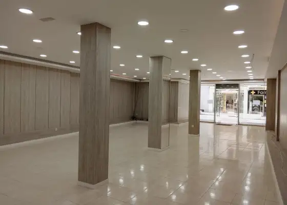 22020b ÁMPLIO LOCAL EN CALLE ADUANA en Puertollano
