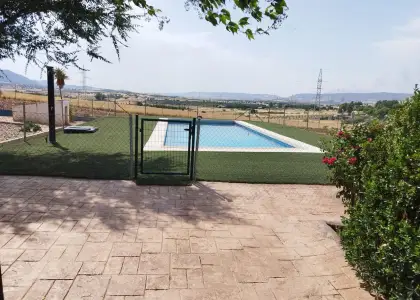 Campo acogedor en el villar en Puertollano