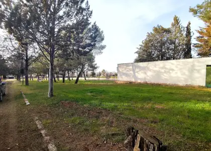 Casa/Chalet Parcela 26.800 m2 en Argamasilla de Calatrava