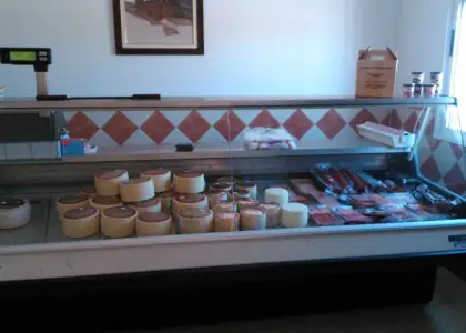 fabrica y tienda de productos lacteos en venta y alquiler en Valdepeñas