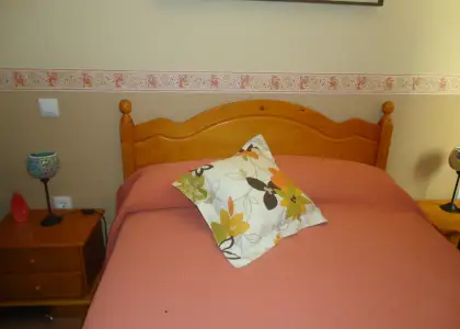Finca rustica con casa de campo cerca de Manzanares en Manzanares