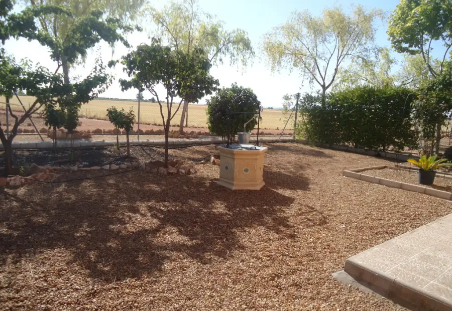 Finca rustica con casa de campo cerca de Manzanares en Manzanares