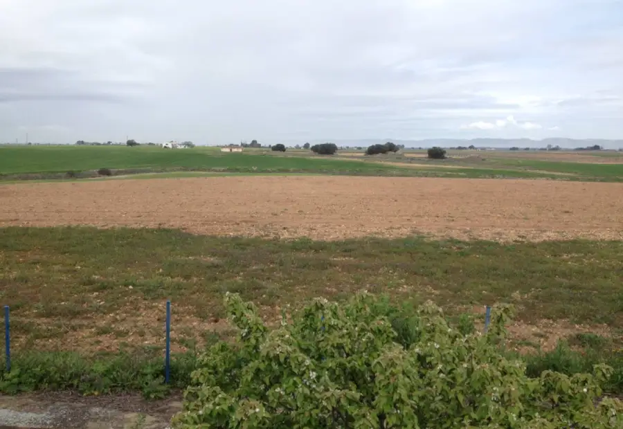 finca rustica de viñedo en venta en Alcázar de San Juan