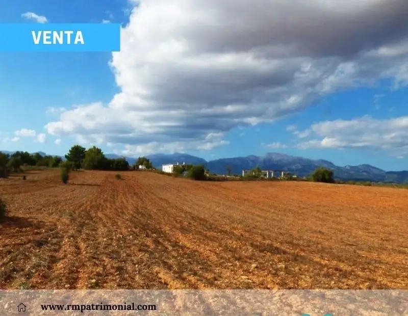 Finca Rústica en Explotación - Puertollano en Puertollano