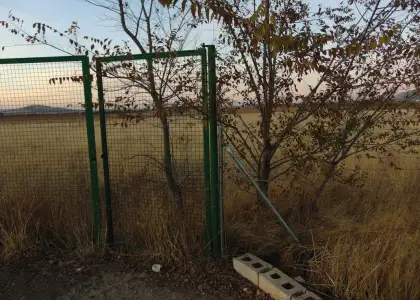 Finca Rústica en Valdepeñas, Carretera Infantes en Valdepeñas