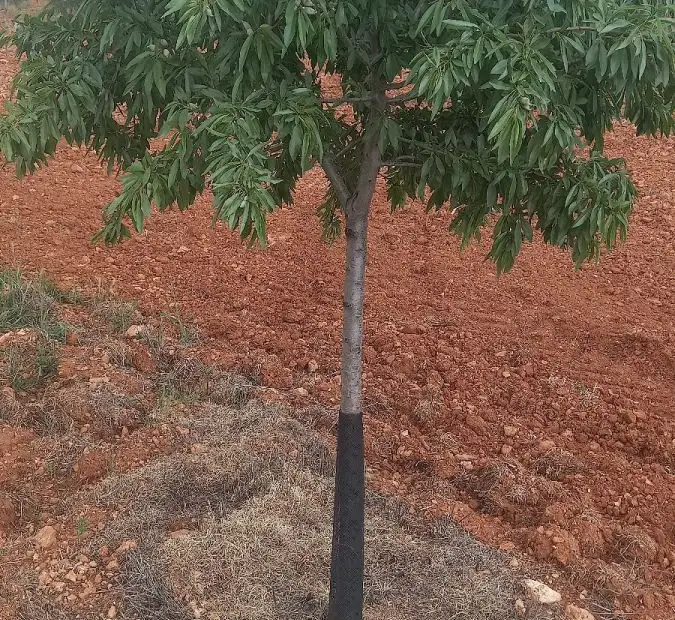 Finca Rústica en Valdepeñas, Carretera Infantes en Valdepeñas