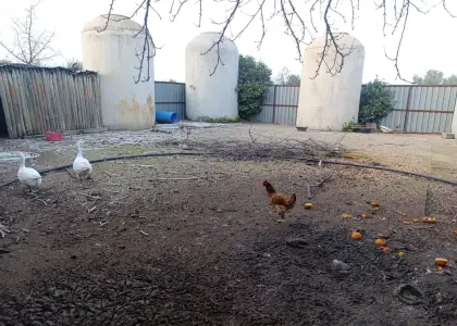 Finca Rústica en Valdepeñas, Carretera Moral en Valdepeñas