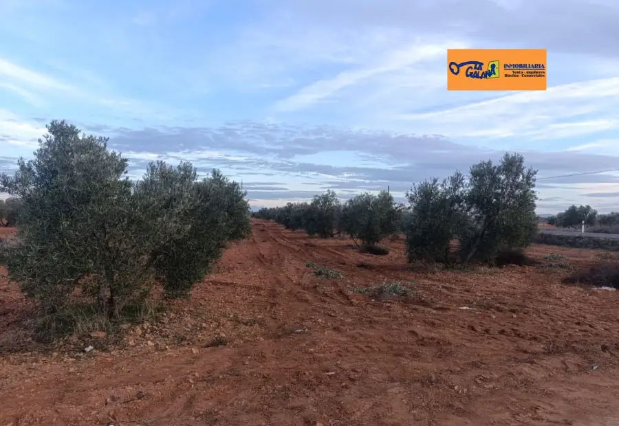 Finca Rústica en Valdepeñas, Carretera Moral en Valdepeñas