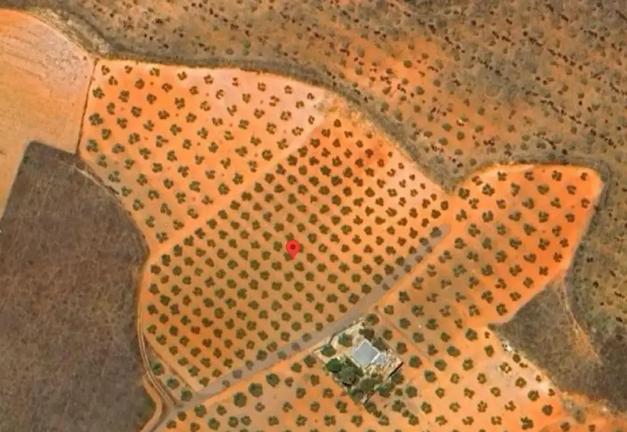 Finca Rústica en Valdepeñas, Carretera Santa Cruz en Valdepeñas