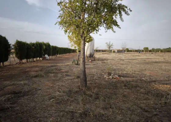Finca Rústica en Valdepeñas, Nacional - IV