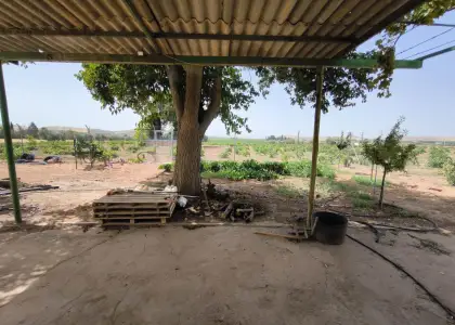 Finca Rústica en Valdepeñas, Valdepeñas en Valdepeñas