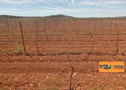 Finca Rústica en Valdepeñas, Valdepeñas en Valdepeñas