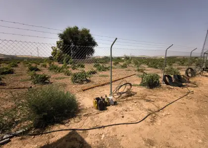 Finca Rústica en Valdepeñas, Valdepeñas en Valdepeñas
