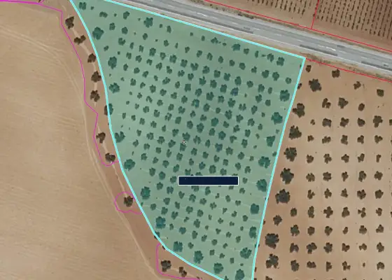 Finca Rústica en Valdepeñas, Valdepeñas