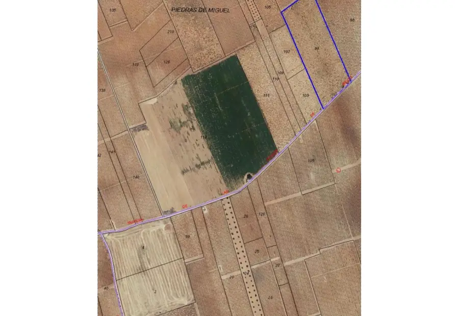Finca rústica en venta en Arenas de San Juan en Arenas de San Juan