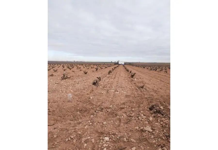 Finca rústica en venta en Manzanares en Manzanares