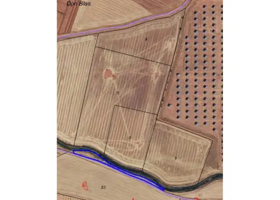 Finca rústica en venta en Manzanares