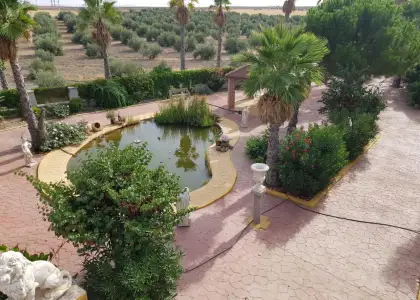 Finca rústica en venta en Santa Cruz de Mudela en Santa Cruz de Mudela
