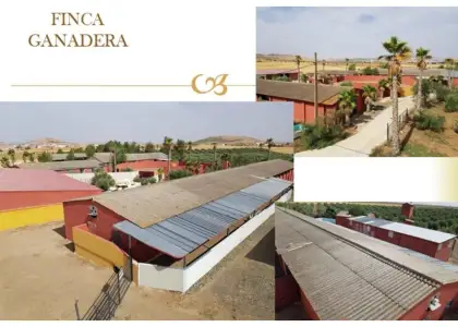 Finca rústica en venta en Santa Cruz de Mudela en Santa Cruz de Mudela