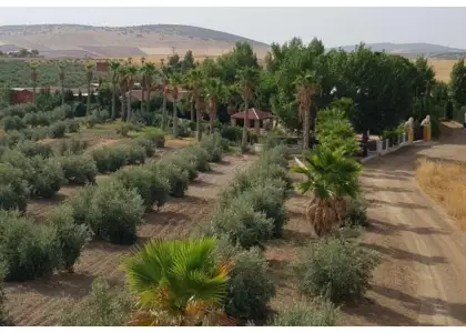 Finca rústica en venta en Santa Cruz de Mudela en Santa Cruz de Mudela
