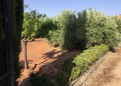 Finca Rústica en Villanueva De Los Infantes, Villanueva De Los Infantes en Villanueva de los Infantes