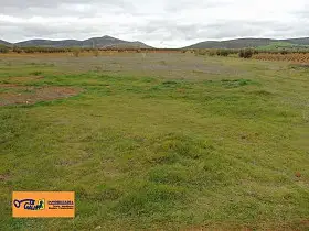 Finca Rústica Venta San Carlos Del Valle, San Carlos Del Valle en San Carlos del Valle