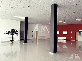 Local Comercial Alquiler Colegio Altagracia, Manzanares