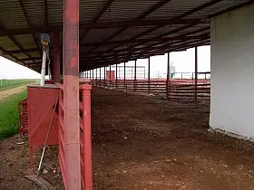 Otros Venta Daimiel, Daimiel