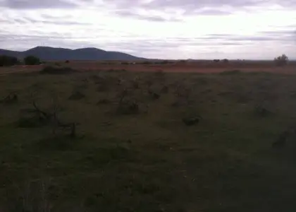 Se vende parcela rustica en La Solana