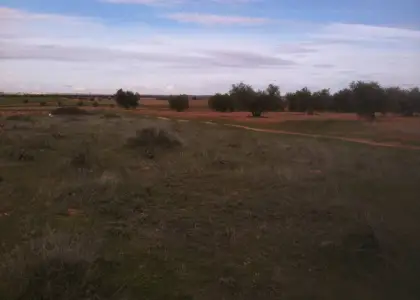 Se vende parcela rustica en La Solana