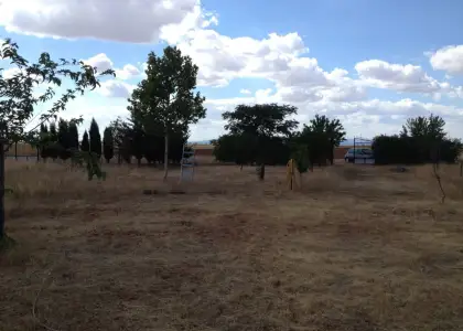 se vende parcela rustica en Manzanares