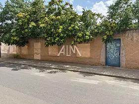 Solar Venta Manzanares, Manzanares