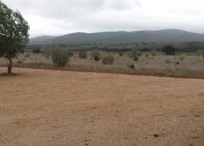 Venta de finca de caza menor ciudad real en Manzanares