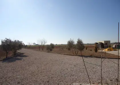 Venta de finca rustica en el polvorin en Manzanares