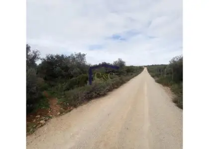venta de finca rústica en Manzanares, Carretera de siles en Manzanares