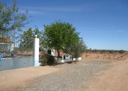 Venta de finca rustica en Manzanares en Manzanares