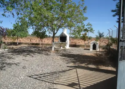 Venta de finca rustica en Manzanares en Manzanares