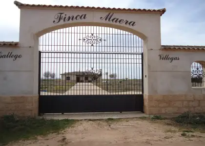 Venta de finca rustica en zona nuevo Manzanares en Manzanares