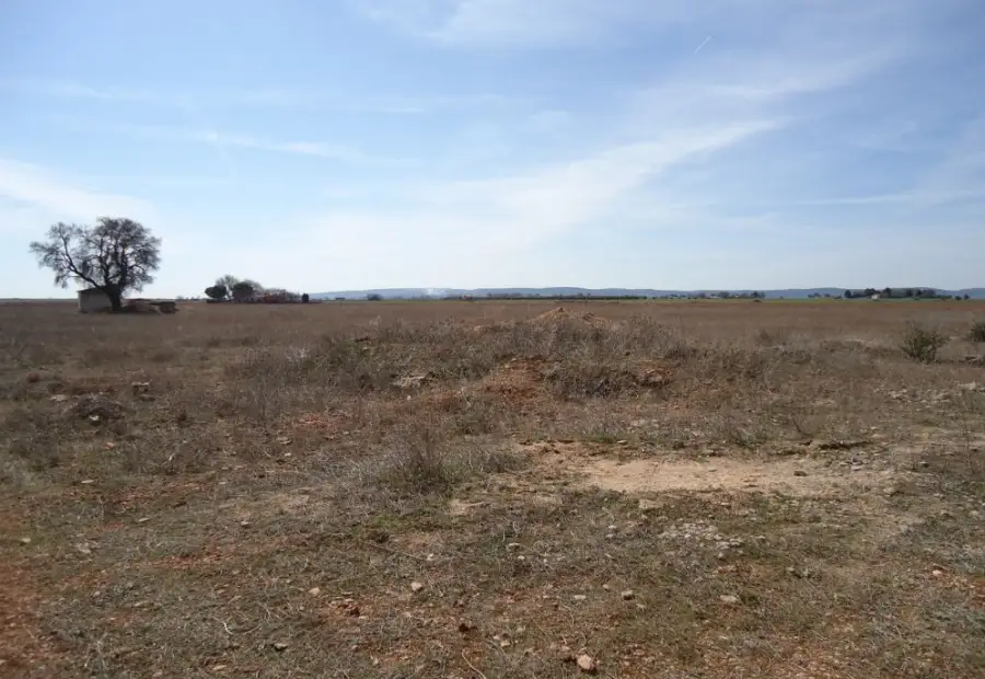 Venta Finca RÃºstica Periferia, Manzanares en Manzanares