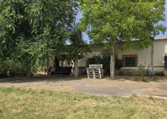 Venta Finca rústica en Argamasilla... en Argamasilla de Calatrava